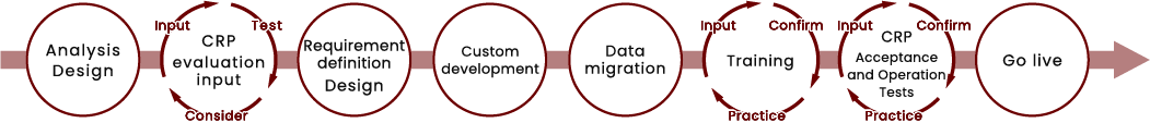 Diagram of CRP introduction